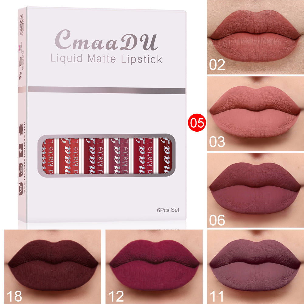 Matte Non-stick Long Lasting Lip Gloss