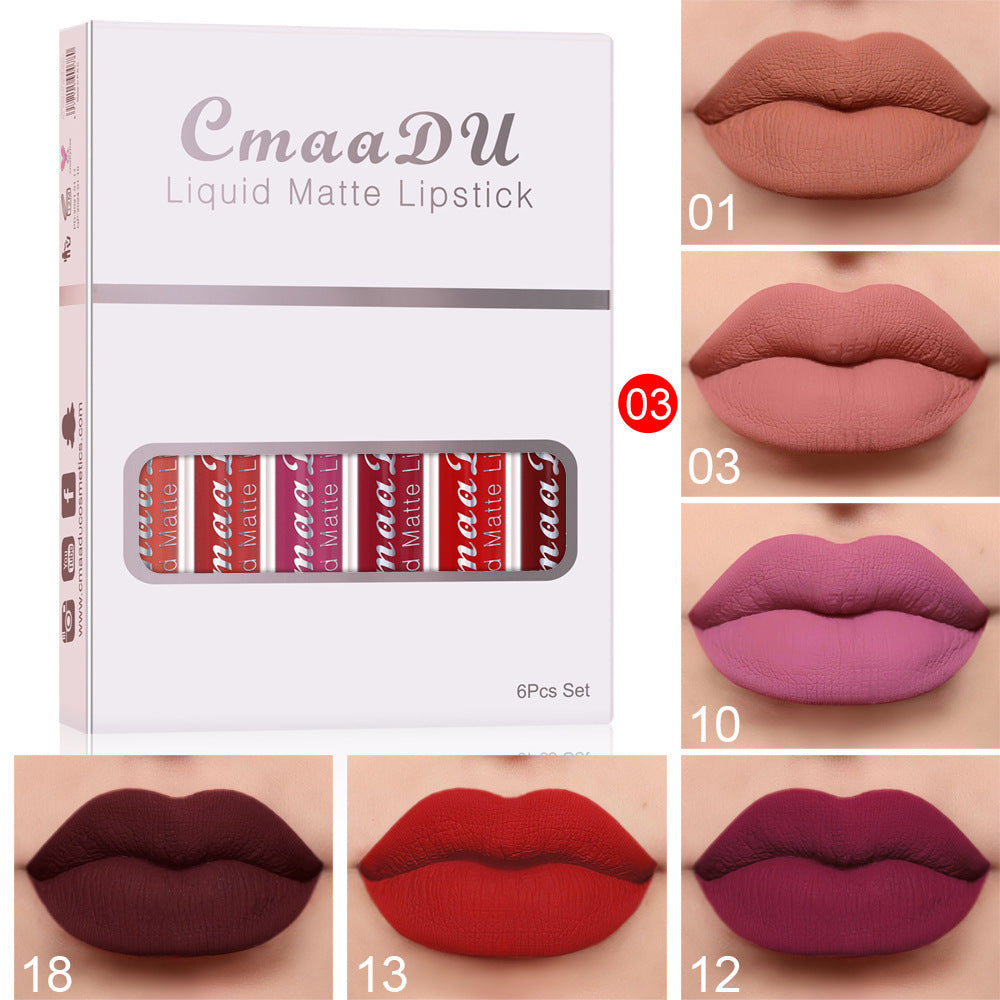 Matte Non-stick Long Lasting Lip Gloss