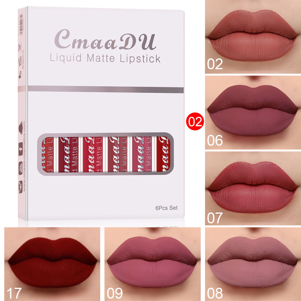 Matte Non-stick Long Lasting Lip Gloss