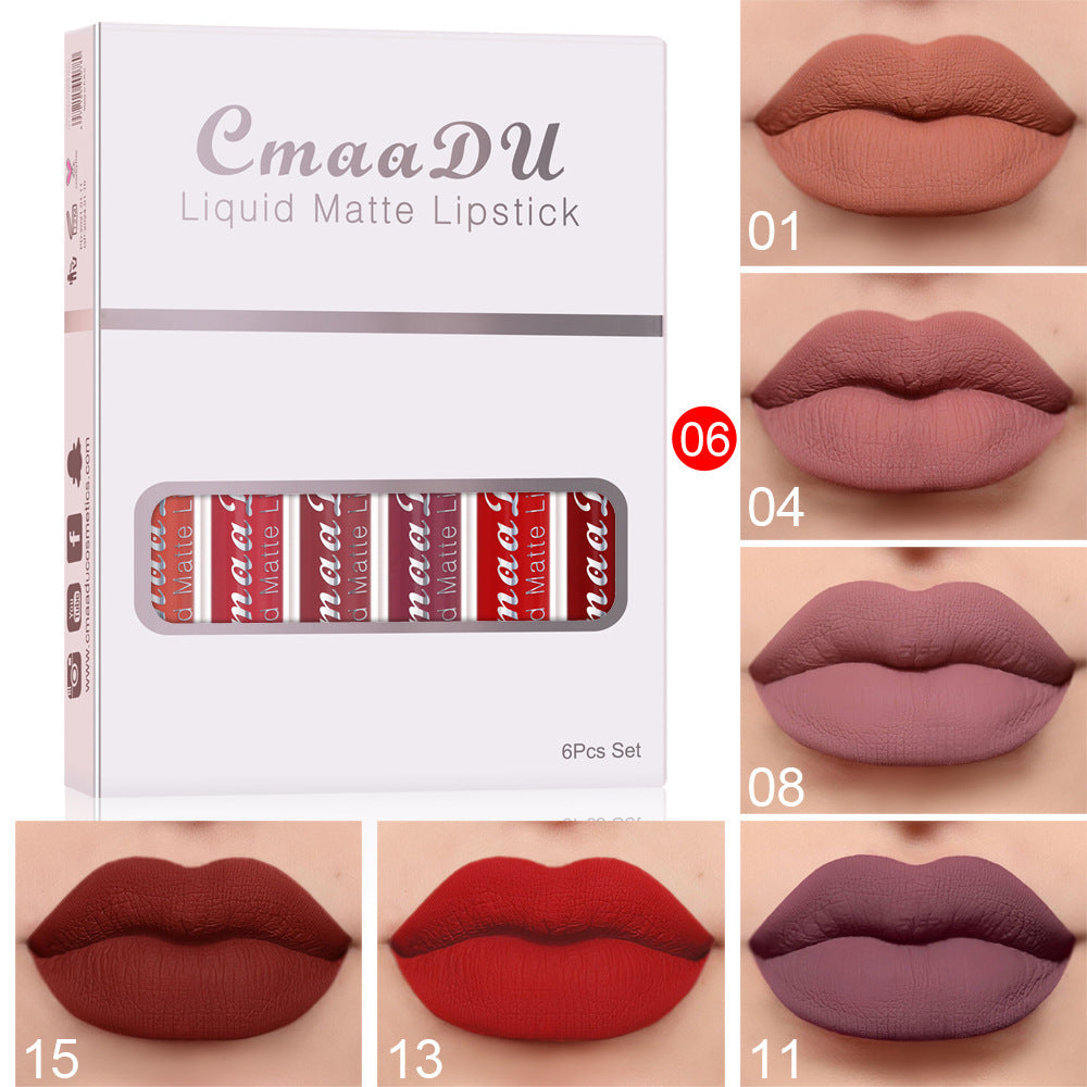 Matte Non-stick Long Lasting Lip Gloss