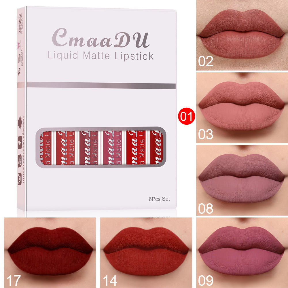 Matte Non-stick Long Lasting Lip Gloss